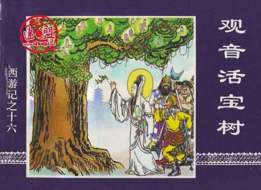 16观音活宝树